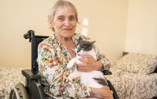 Фото 5: У Львові для переселенців та врятованих ними котів влаштували фотосесію