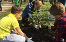 Фото 2: Сьогодні Львів прибирають в рамках акції «З нами місто розквітає»