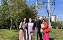 Фото 2: У Шевченківському районі Львова висадили 22 дерева