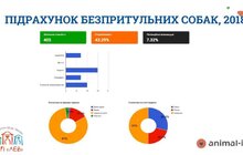 Фото 2: ЛКП «Лев» оголосило результати IV загальноміського підрахунку безпритульних собак у Львові