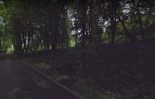 Фото 4: Сесія затвердила зміну меж Снопківського парку