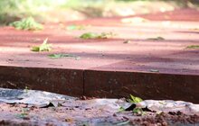 Фото 1: У парку ім. Івана Франка продовжують облаштовувати другу за важливістю доріжку за унікальною методикою