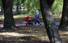 Фото 7: У парку ім. Івана Франка продовжують облаштовувати другу за важливістю доріжку за унікальною методикою