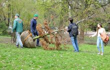 Фото 6: Минув перший рік роботи міських садівників у Львові