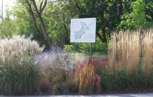 Фото 8: У місті триває реконструкція Замарстинівського парку для реабілітації військових та інших пацієнтів