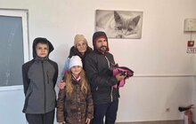 Фото 10: За місяць ЛКП «Лев» прилаштувало 27 тварин