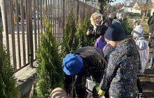 Фото 7: У шести школах та дитсадках Львова висадили дерева і кущі