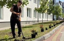 Фото 5: Більше сотні рослин висадили волонтери навколо Лікарні святого Луки