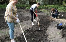 Фото 5: Лучні квіти і трави: у львівському парку засіяли різнотрав’я