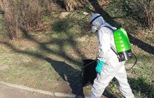 Фото 3: У Львові провели дезінфекцію парку ім. І. Франка та парку «Високий Замок»