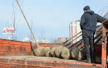 Фото 9: На Сихові висаджують 20 нових дерев, план міста на цей рік — не менше 10 тис зелених насаджень