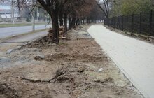 Фото 10: На вул. Княгині Ольги тривають роботи з будівництва велодоріжки