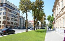 Фото 4: Вул. Личаківську буде відкрито для проїзду автомобільного транспорту сьогодні о 18.00 год