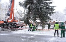 Фото 9: На площі перед Оперним театром встановили головну ялинку міста