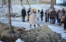 Фото 15: На Меморіалі пам’яті Героїв Небесної Сотні висадили сосни