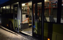 Фото 21: Концерн «ЕкоПасТранс» придбав 8 екологічних автобусів