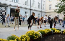 Фото 15: З нагоди Дня фізичної культури і спорту працівники мерії Львова провели спільну розминку