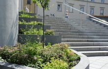 Фото 5: У Львові висадили квіти