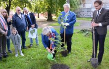Фото 7: У Замарстинівському сквері висадили перше символічне дерево, ознаменувавши старт його реконструкції