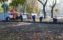 Фото 14: Триває ремонт проспекту Свободи 