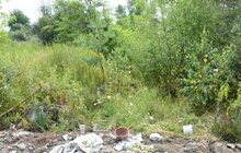 Фото 10: Стартувала кампанія із захисту заказника «Торфовище Білогорща»: вивозять накопичене будівельне сміття, поліція посилила патрулювання