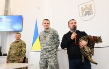 Фото 60: У Львові нагородили 230 учнів-волонтерів, що допомагали ЗСУ і переселенцям