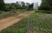 Фото 4: Міський голова оглянув будівництво доріг у районі «Під Голосоком»