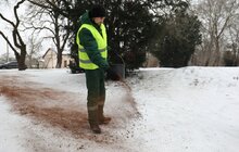Фото 7: У парку Львова вперше використали кавову гущу для боротьби з ожеледицею