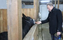 Фото 34: У мерії розглядають можливості комплексного розвитку парку «Знесіння» і Домівки врятованих тварин