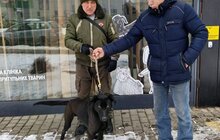 Фото 17: Понад 20 тварин із ЛКП «Лев» знайшли дім у лютому