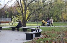 Фото 11: На вул. Кульчицької, 18 залишиться сквер: рішення суду