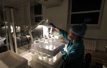 Фото 12: Мер Львова нагородив колектив АТ «Галичфарм» за допомогу місту під час карантину