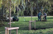 Фото 9: У парку «700-річчя» триває висадка дерев та кущів
