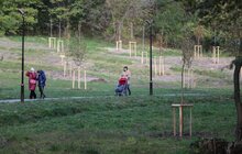 Фото 11: У парку «700-річчя» триває висадка дерев та кущів