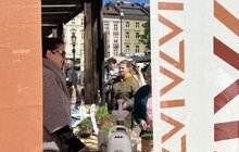 Фото 1: Крафтові сири, перепелині яйця, мікрозелень – на площі Ринок Львівський фермерський ярмарок розпочав шостий сезон (відео)