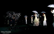Фото 73: Відкриття фестивалю «Золотий лев» вуличною виставою «Вишневий сад» за п'єсою А. П. Чехова