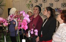 Фото 3: Одинокі львів’яни літнього віку побували на виставці орхідей