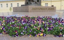 Фото 18: У Львові висаджують квіткові композиції