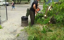Фото 20: «До прибирання міста було задіяно сьогодні 1694 працівники комунальних підприємств і 72 одиниці техніки», - І. Маруняк