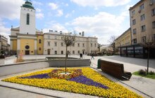 Фото 32: У Львові висаджують квіткові композиції