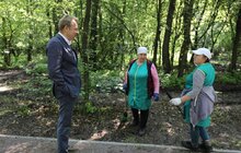 Фото 10: У Львові тривають роботи із реконструкції лісопарку «Білогорща»