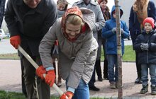 Фото 14: У Львові висадили 20 сакур, які місту подарувало Посольство Японії