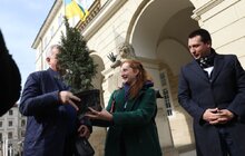 Фото 4: В рамках міжнародного проєкту «Озеленення планети» на площі Соборній висадили перші дерева
