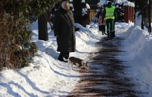 Фото 7: У парку «700-річчя Львова» продовжують посипати доріжки кавовою гущею для боротьби з ожеледицею