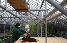 Фото 19: У парку «700-річчя Львова» продовжують посипати доріжки кавовою гущею для боротьби з ожеледицею