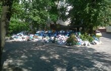 Фото 42: У Львові на кінець дня переповненими є 285 майданчиків у 4 районах міста