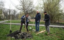 Фото 5: У Львові триває загальноміське прибирання міста в рамках акції «З нами місто розквітає»