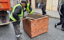 Фото 2: На вул. Галицькій висадять композиції із низькорослих кущів