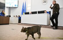 Фото 9: До Львівської мерії завітали понад 130 юних талановитих українців, які не були вдома від початку повномасштабної війни