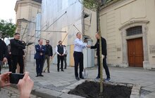 Фото 6: Девід Камерон у Львові залишив запис у Книзі почесних гостей та висадив дерево